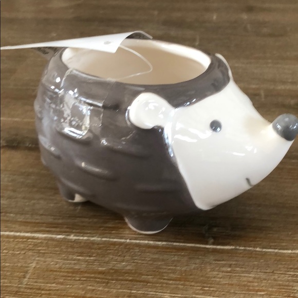 Primitives by Kathy Other - Mini planter HEDGEHOG NEW gift to hold stuff